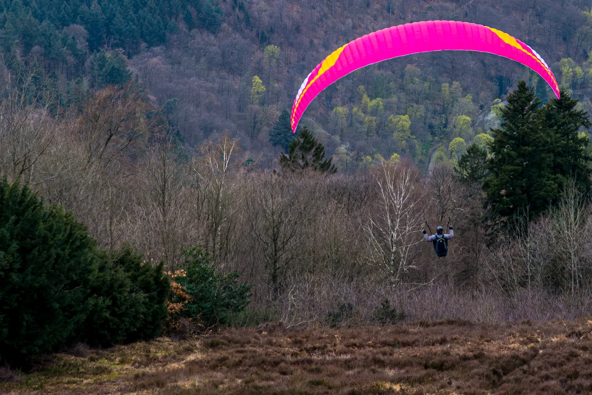 Een roze paraglider boven een bos