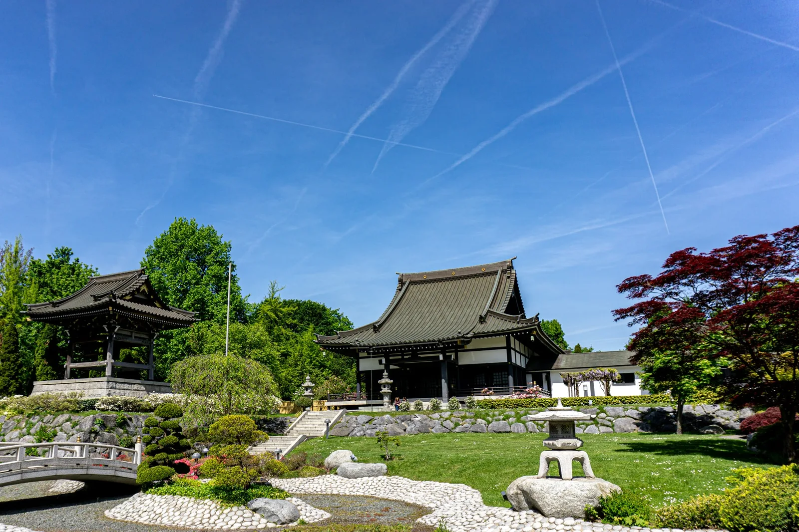 Een Japanse tempel met grindpaden, stenen lantaarns en een rode esdoorn